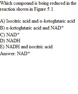 Topic 2 Quiz 2